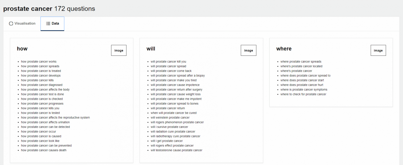 answer-the-public-questions-examples