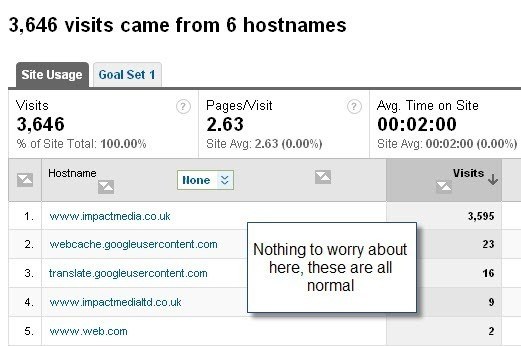Tracking Issues - Hostnames Report in Google Analytics