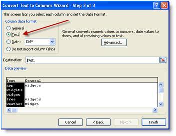 Text to Columns 3