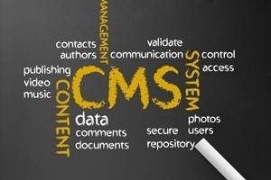 CMS for SEO