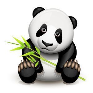 Google Panda