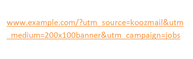 Example URL with UTM Parameter
