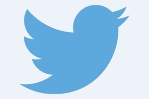 Twitter Bird