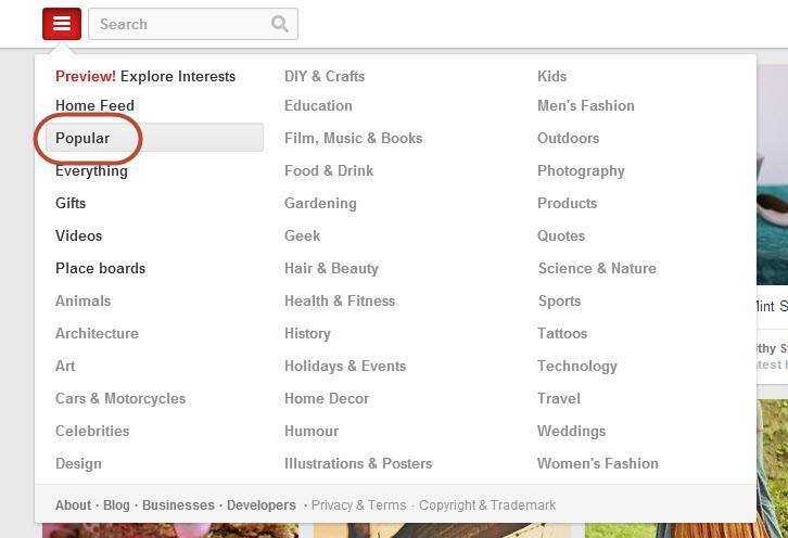 Pinterest Popular Category