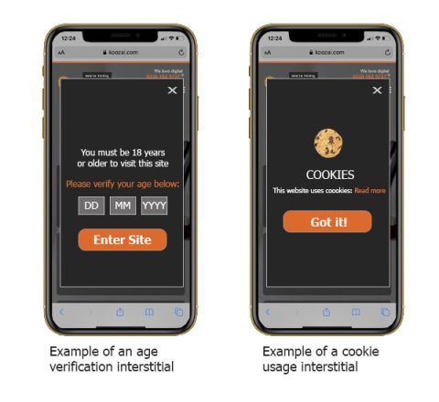 example of cookie usage and age verification interstitial