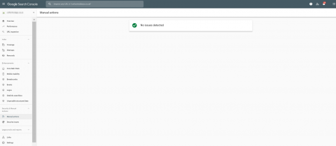 Search Console Manual Action