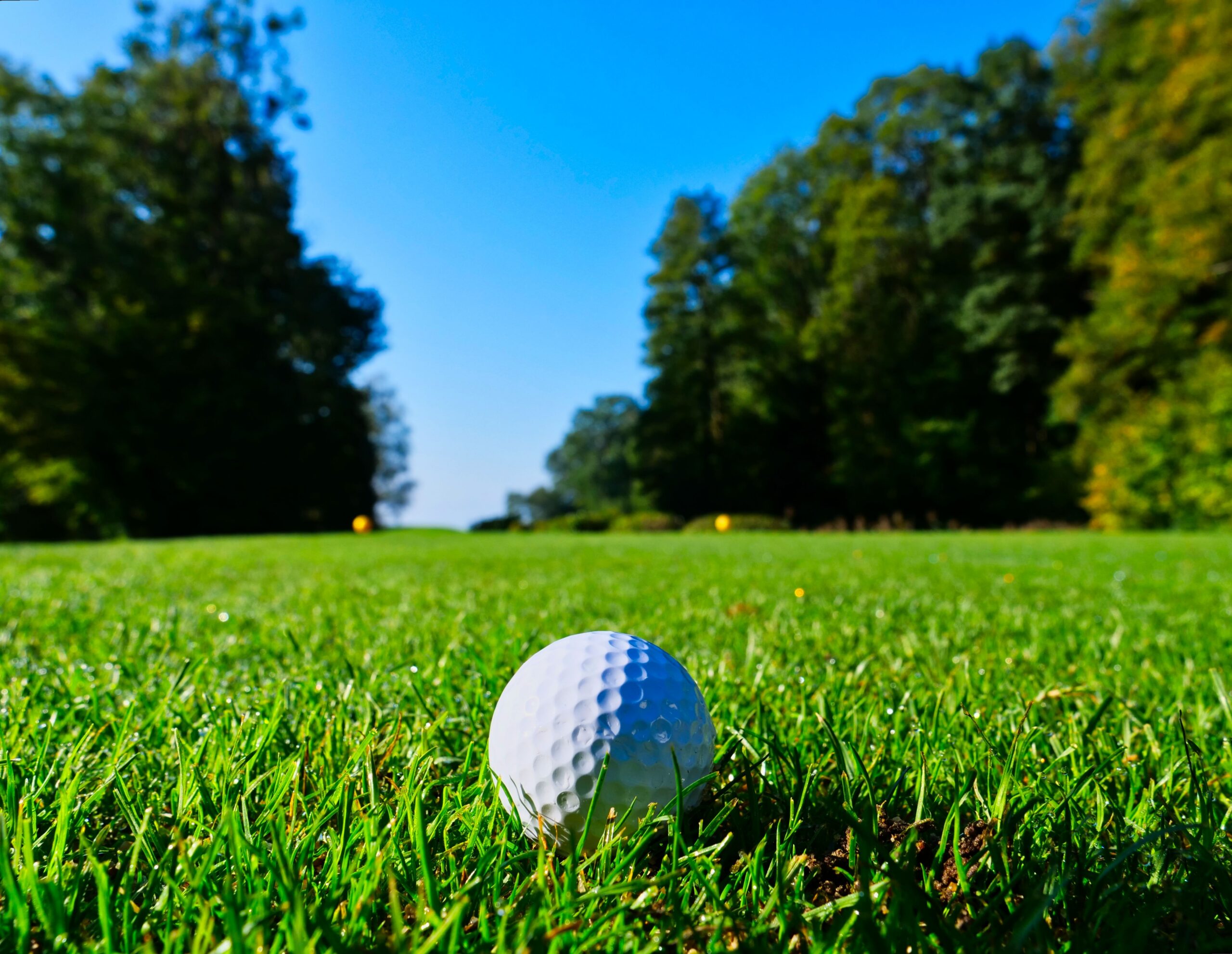 Srixon Sports Image