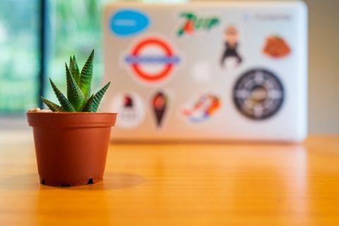 Organic SEO & Branding – Building Your Brand Online