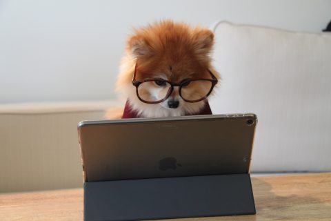How Often Should I Manage And Optimise My PPC Accounts?