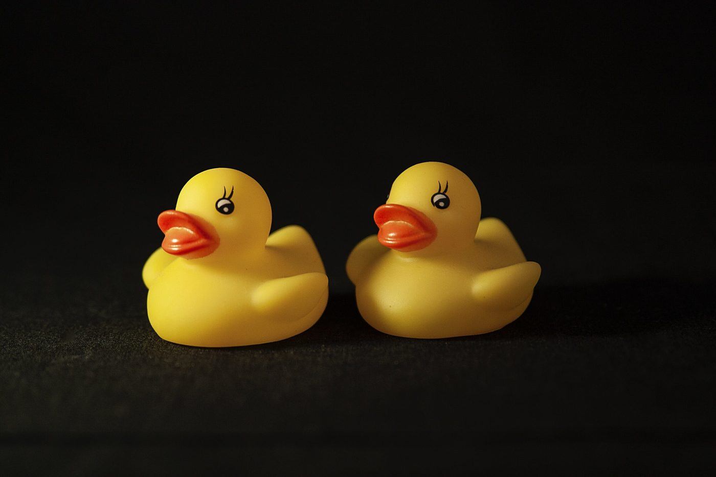 2 identical rubber ducks