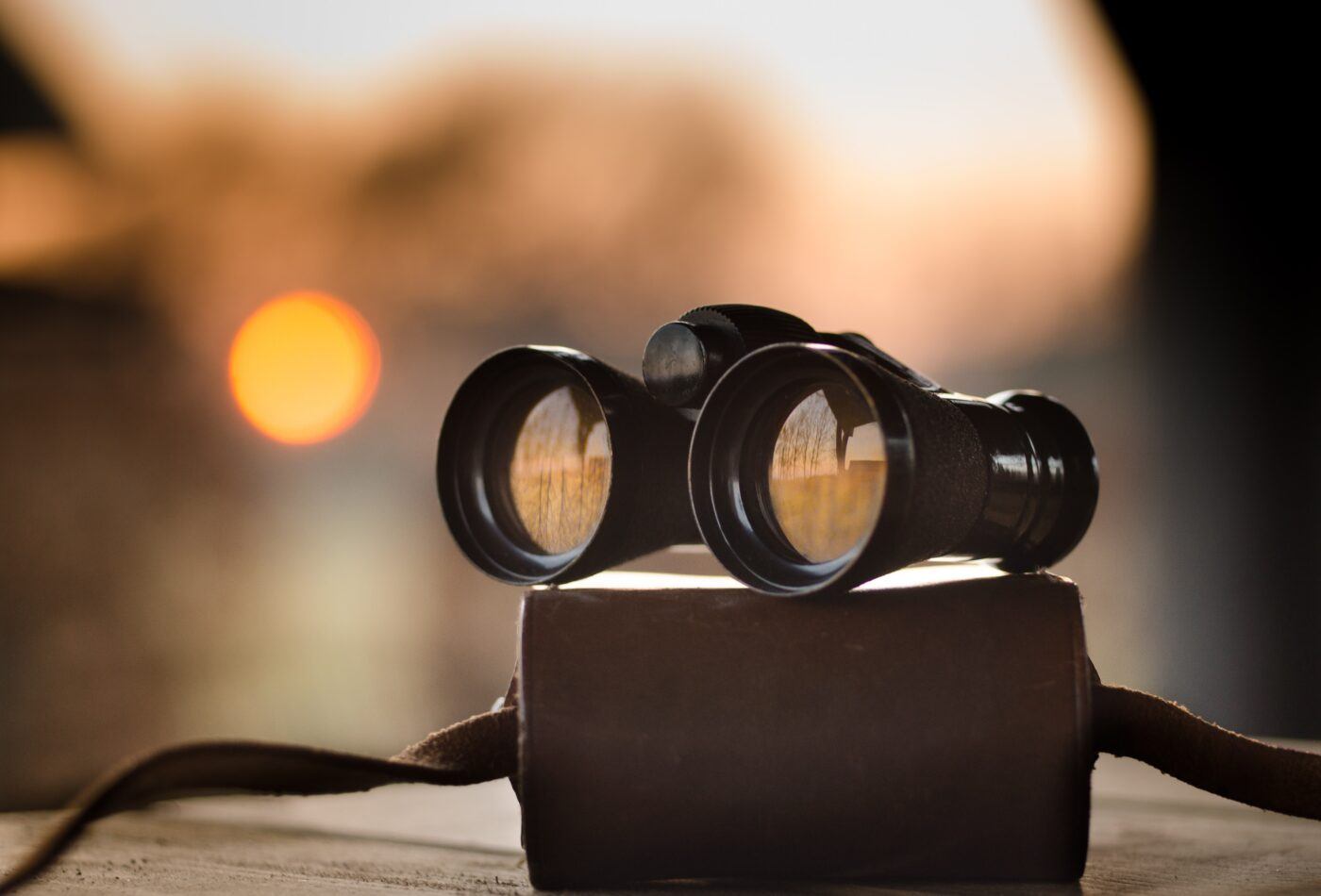 Binoculars sat on top of their case