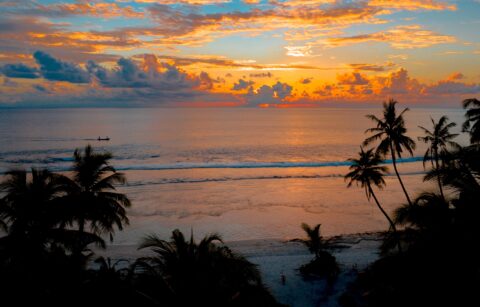 Vibrant tropical sunset on a sandy beach with palm trees.