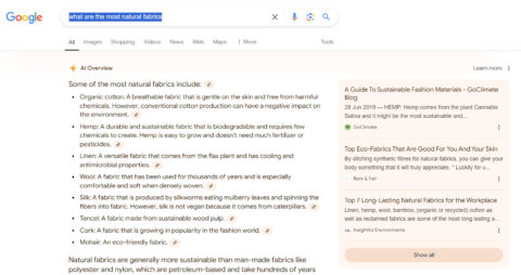 An example of an AI summarised answer