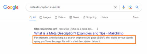 Meta description example